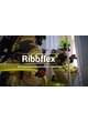 Ribbflex